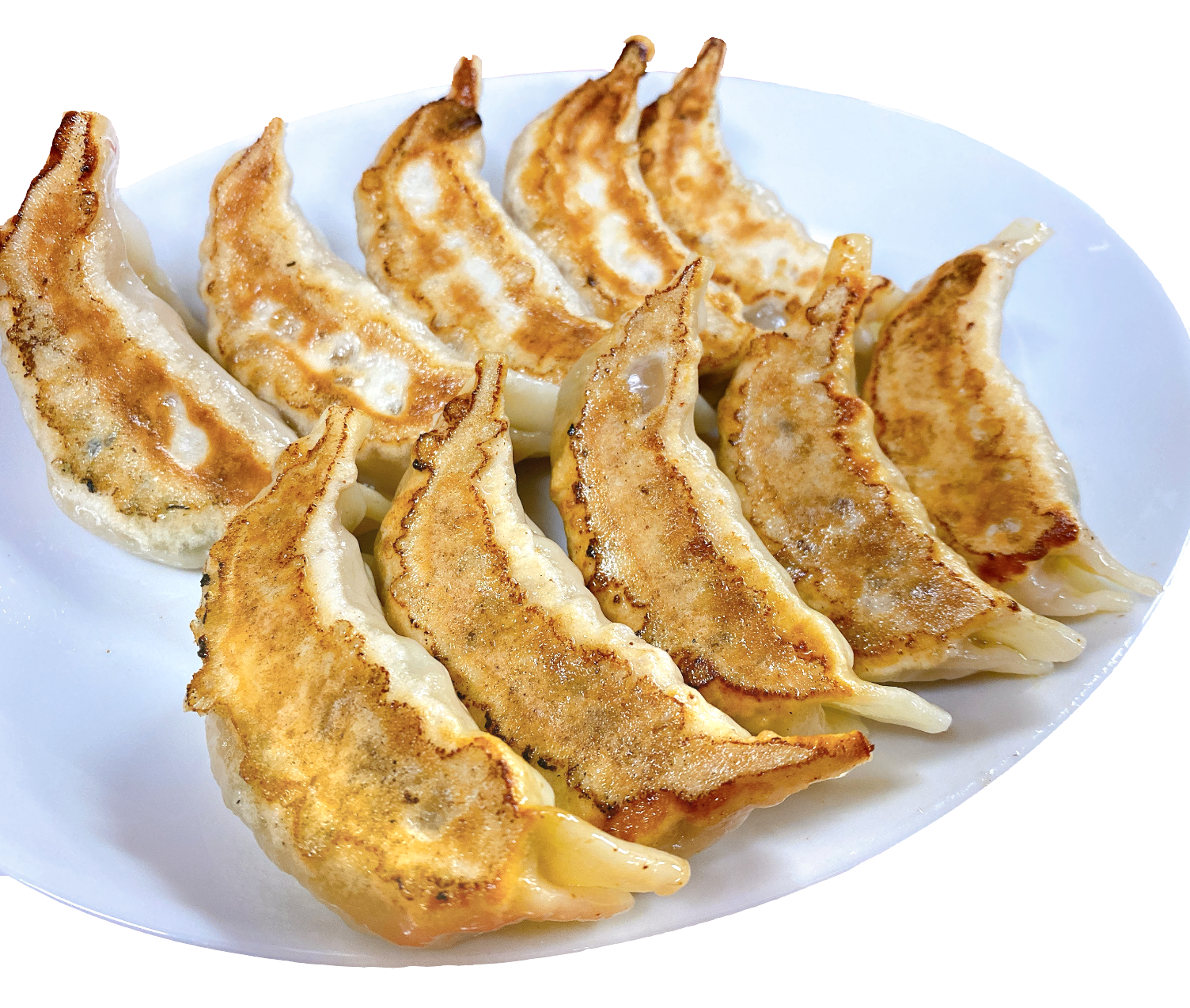 美味しい宇都宮餃子